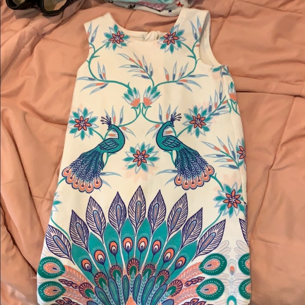 Cute shift dress. Lovely colors